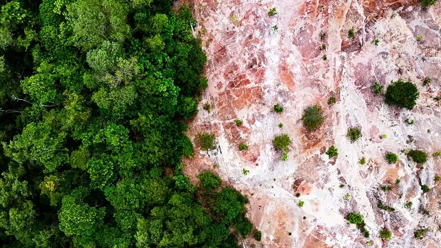 প্রাণ প্রকৃতি রক্ষায় ১ ডলার, ধ্বংসে ৩০: জাতিসংঘের রিপোর্টে উদ্বেগের চিত্র
