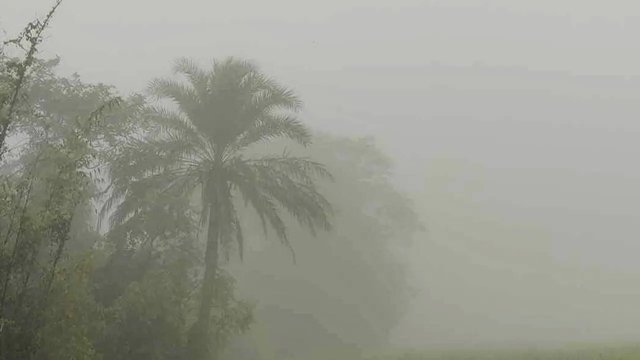 শীতের তীব্রতা বেড়েই চলেছে, নানা রোগে আক্রান্ত হচ্ছে মানুষ