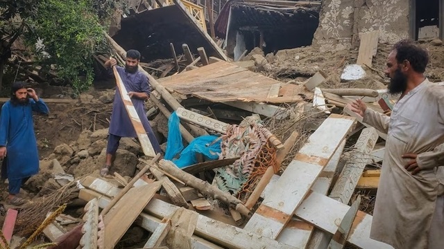ছবি : সংগৃহীত