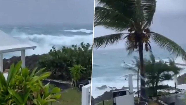 ক্যাটাগরি-৫ হারিকেন মেলিসা শক্তি বাড়িয়ে এগিয়ে আসছে জ্যামাইকায়