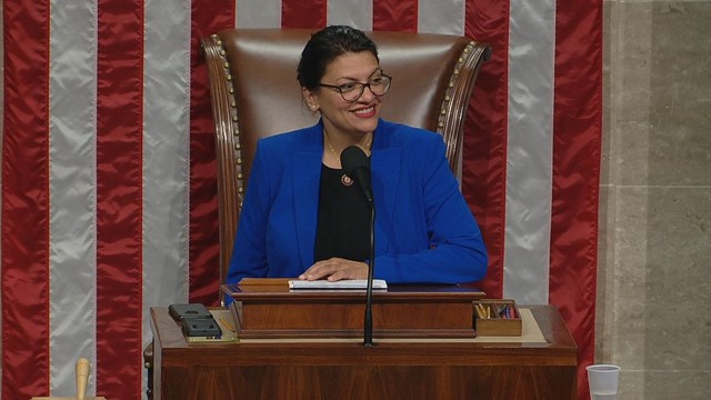 গাজা গণহত্যার কংগ্রেসে স্বীকৃতি চেয়েছেন আইনপ্রণেতা রাশিদা তায়েব