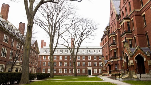 আন্তর্জাতিক শিক্ষার্থী কমায় যুক্তরাষ্ট্রের প্রায় ১.১ বিলিয়ন ডলার ক্ষতি 