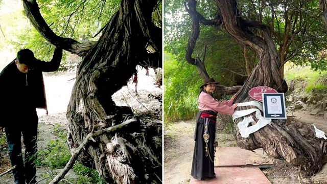 ছবি : সংগৃহীত