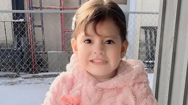 মিনেসোটায় ২ বছরের শিশুকে আটক: অভিবাসন পুলিশের অভিযানে উত্তাল যুক্তরাষ্ট্র