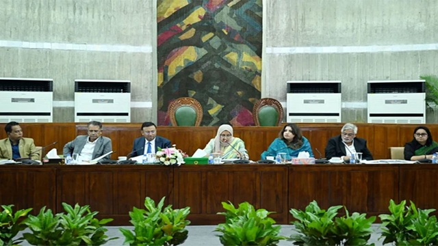 শেখ হাসিনাকে ফিরিয়ে আনতে কূটনৈতিক উদ্যোগ অব্যাহত রয়েছে: সংসদীয় কমিটি